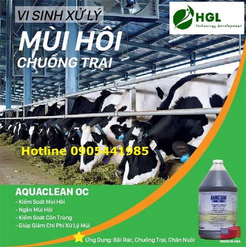 BIOCLEAN ACF OC – Vi sinh khử mùi hôi rác thải, chuồng trại, nước thải